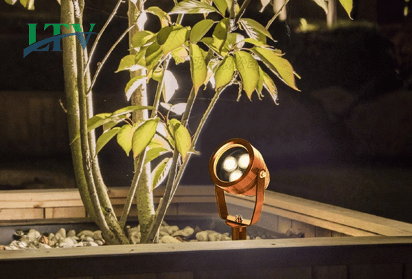 Đèn chiếu cây ly